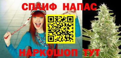 стафф Краснознаменск