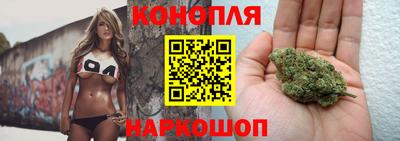 стафф Краснознаменск