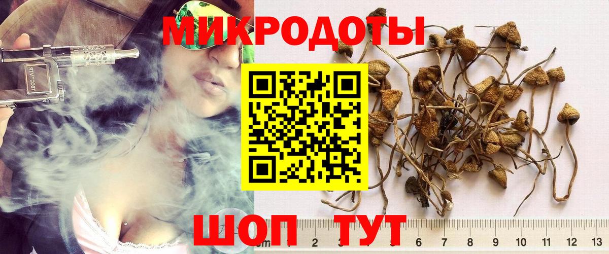 Псилоцибиновые грибы прущие грибы  Вход с VPN  Воронеж  Галлюциногенные грибы ЛСД 